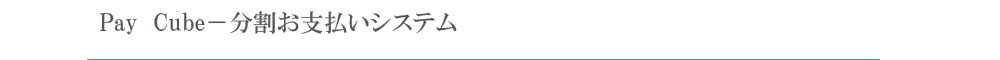 Pay Cube-分割お支払いシステム